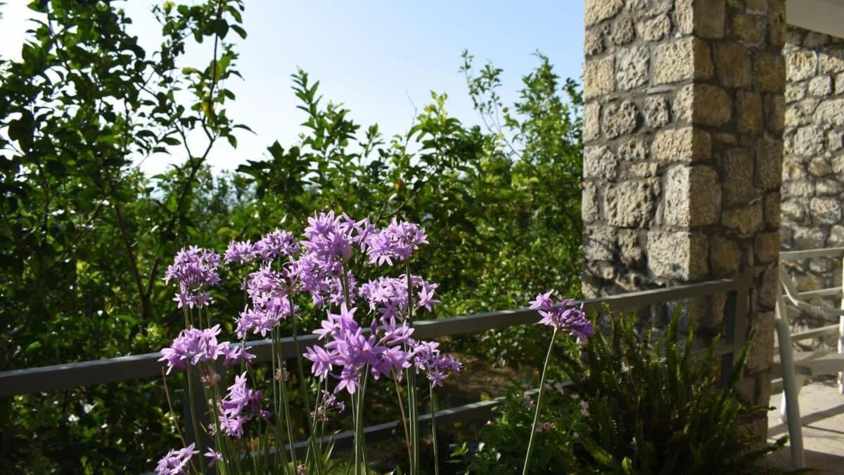 Coastal Stone Hideaway With Stunning Scenery Βίλα Κιτριές Εξωτερικό φωτογραφία
